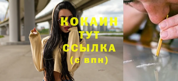 сатива Переславль-Залесский
