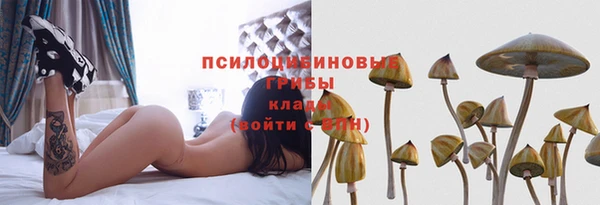 гашик Осташков