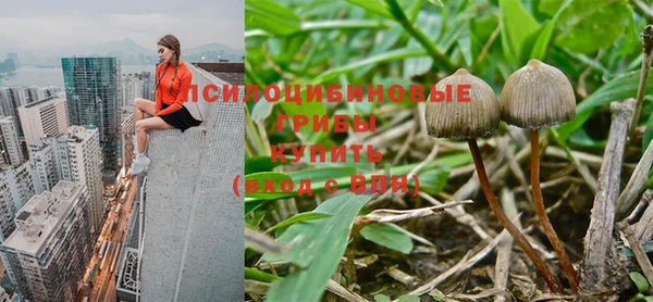 прущая мука Пестово