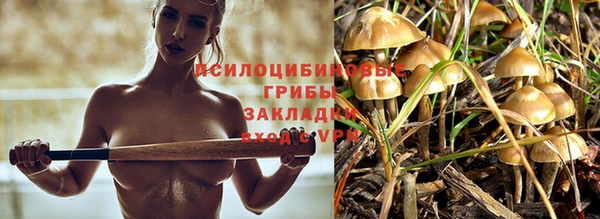 прущая мука Пестово