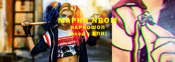 гашик Осташков