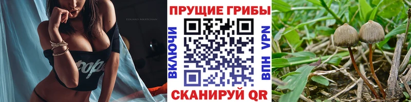 Галлюциногенные грибы мицелий  Нарткала 