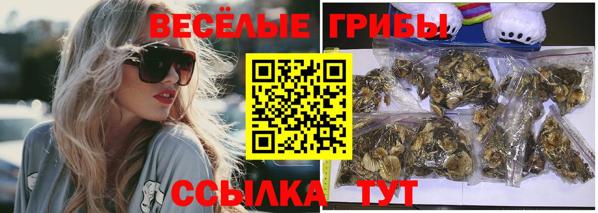 Галлюциногенные грибы мицелий Нарткала